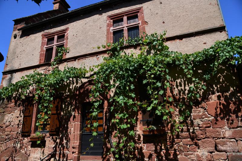 min 2023 07 08 Collonges la Rouge 106